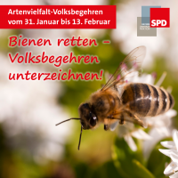 Volksbegehren Artenvielfalt: Unsere Abgeordneten helfen mit, die Insekten zu retten!
