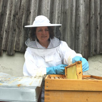 SPD-Landtagsfraktion unterstützt Volksbegehren gegen Bienensterben