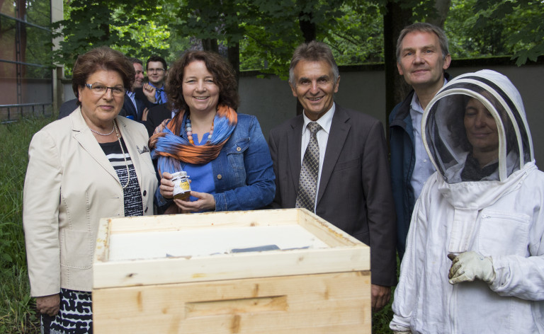 Bienenstock - Stamm und Müller begutachten die Bienen Foto 1