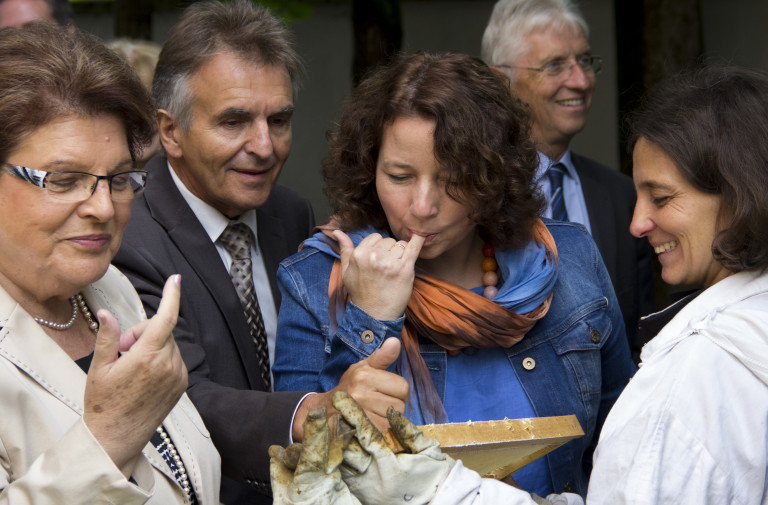 Bienenstock - Stamm und Müller begutachten die Bienen Foto 4