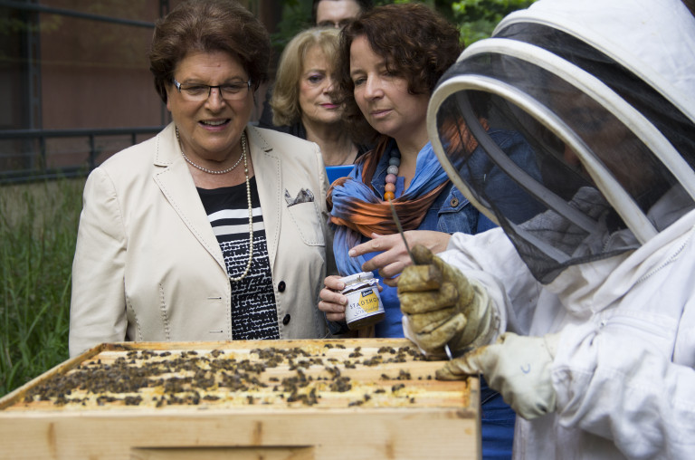 Bienenstock - Stamm und Müller begutachten die Bienen Foto 3