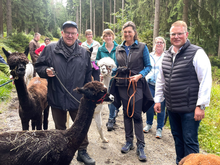 Foto von der Alpaka-Wanderung