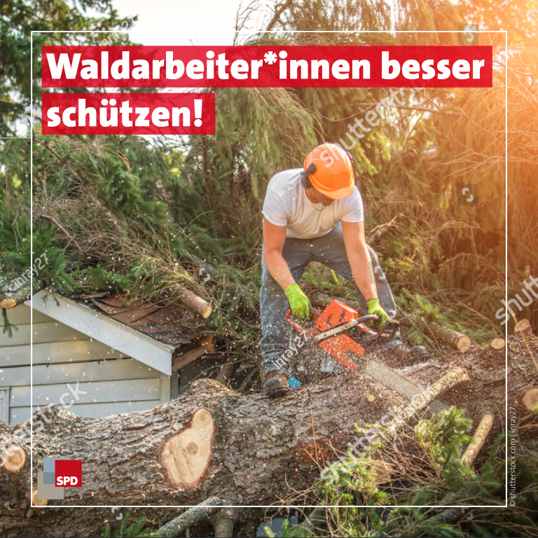 Tag des waldes